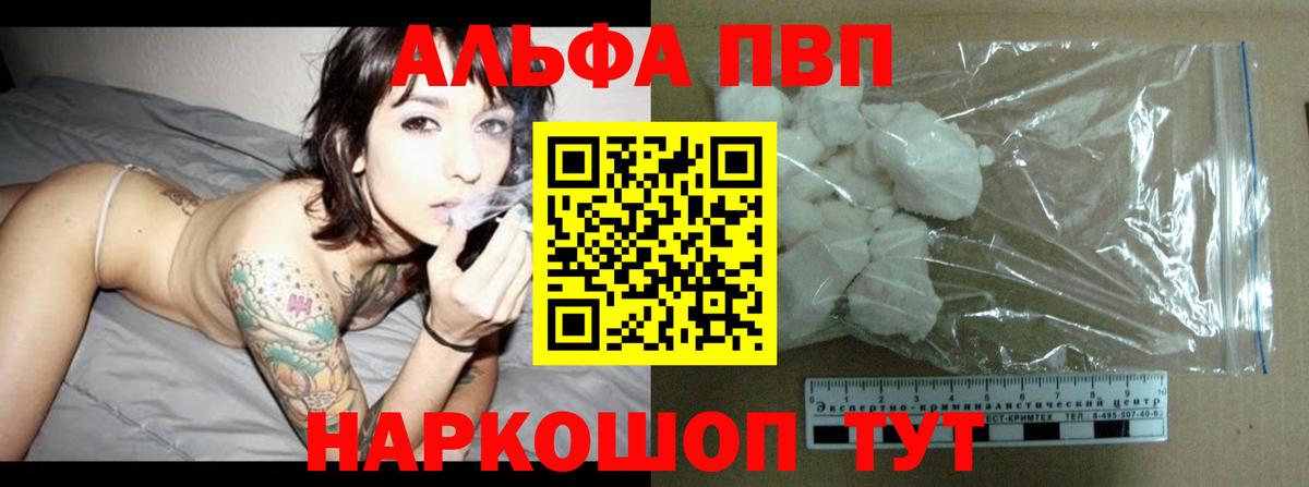 Альфа ПВП СК Кировск