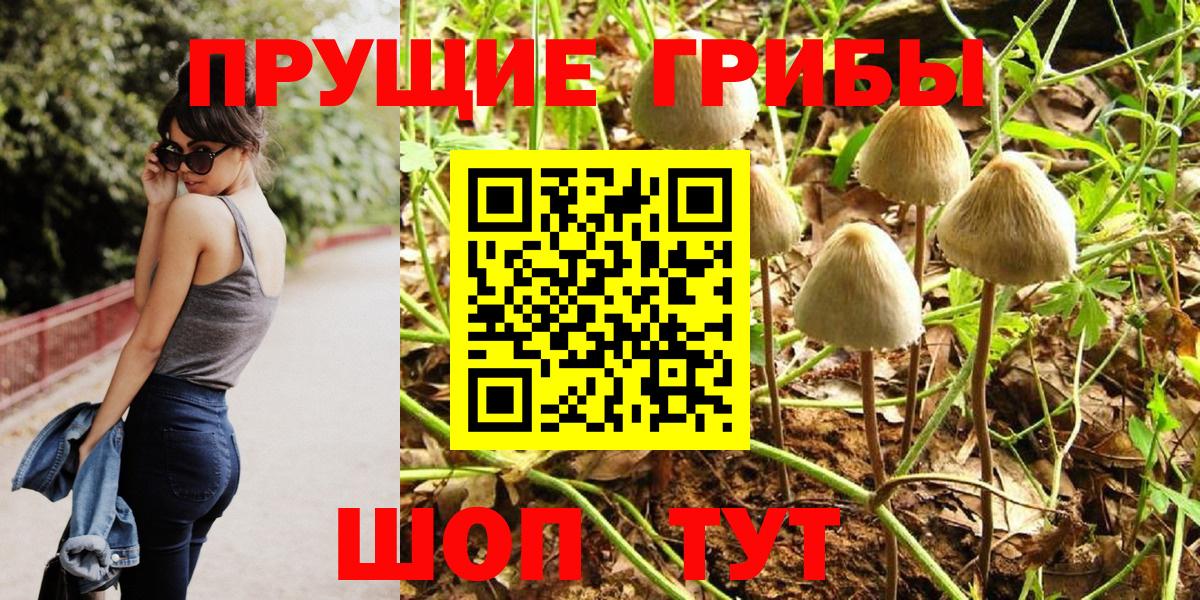 где можно купить наркотик  Псилоцибиновые грибы прущие грибы  Вход с VPN  Кировск  Псилоцибиновые грибы MAGIC MUSHROOMS 